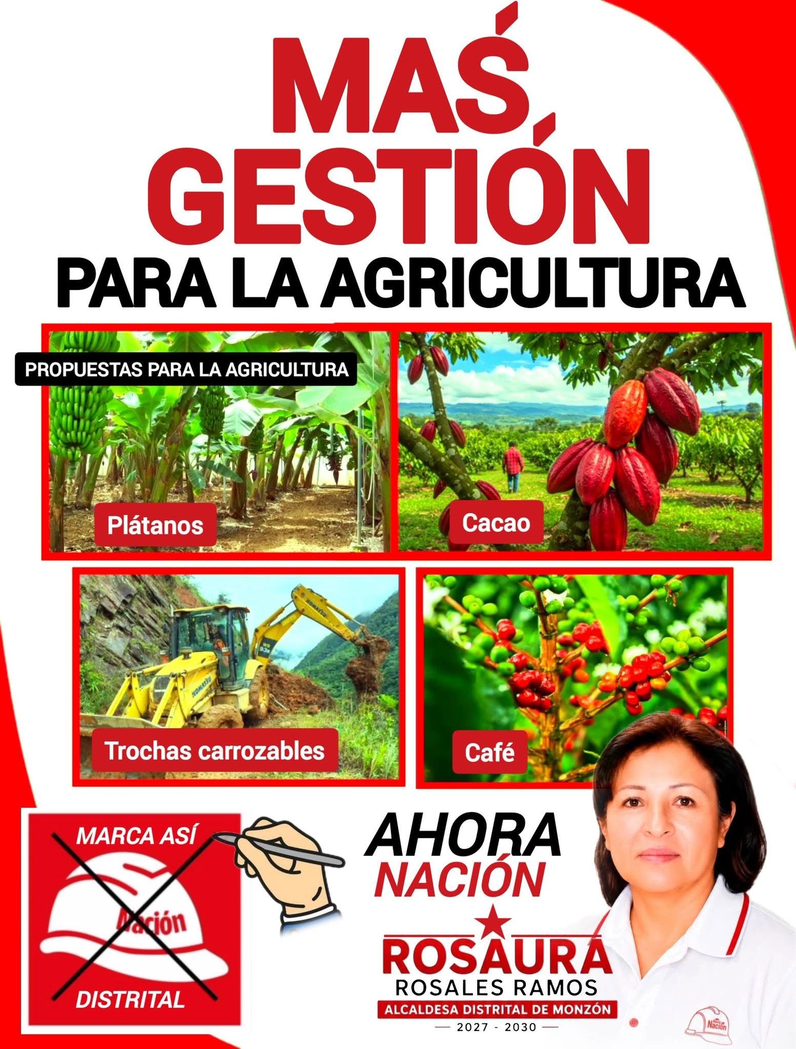 Gráfico de propuesta agrícola